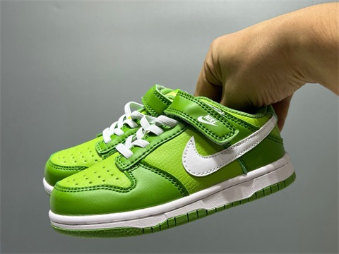 kid dunk shoes 2023-11-4-053
